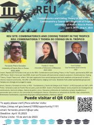 Combinatorics and Coding Theory in the Tropics REU