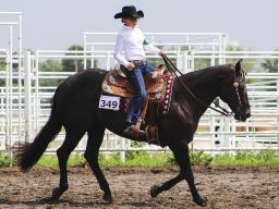 State Horse Expo photo 23.jpg