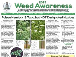 Weed-Awareness-23-thumbnail.jpg