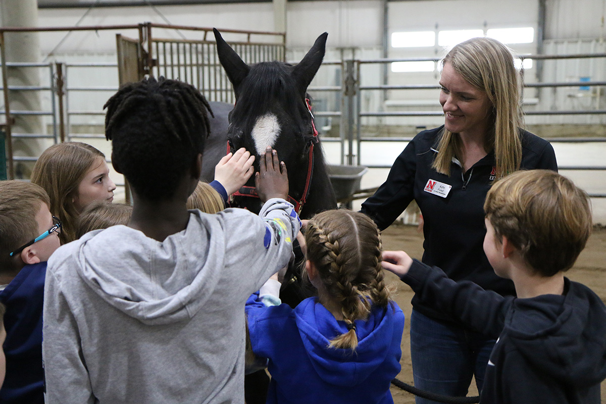 Students learned the various uses of horses in the horse session taught by Extension Associate Kate Pulec. Youth got a hands-on look at many animals, including a horse. 