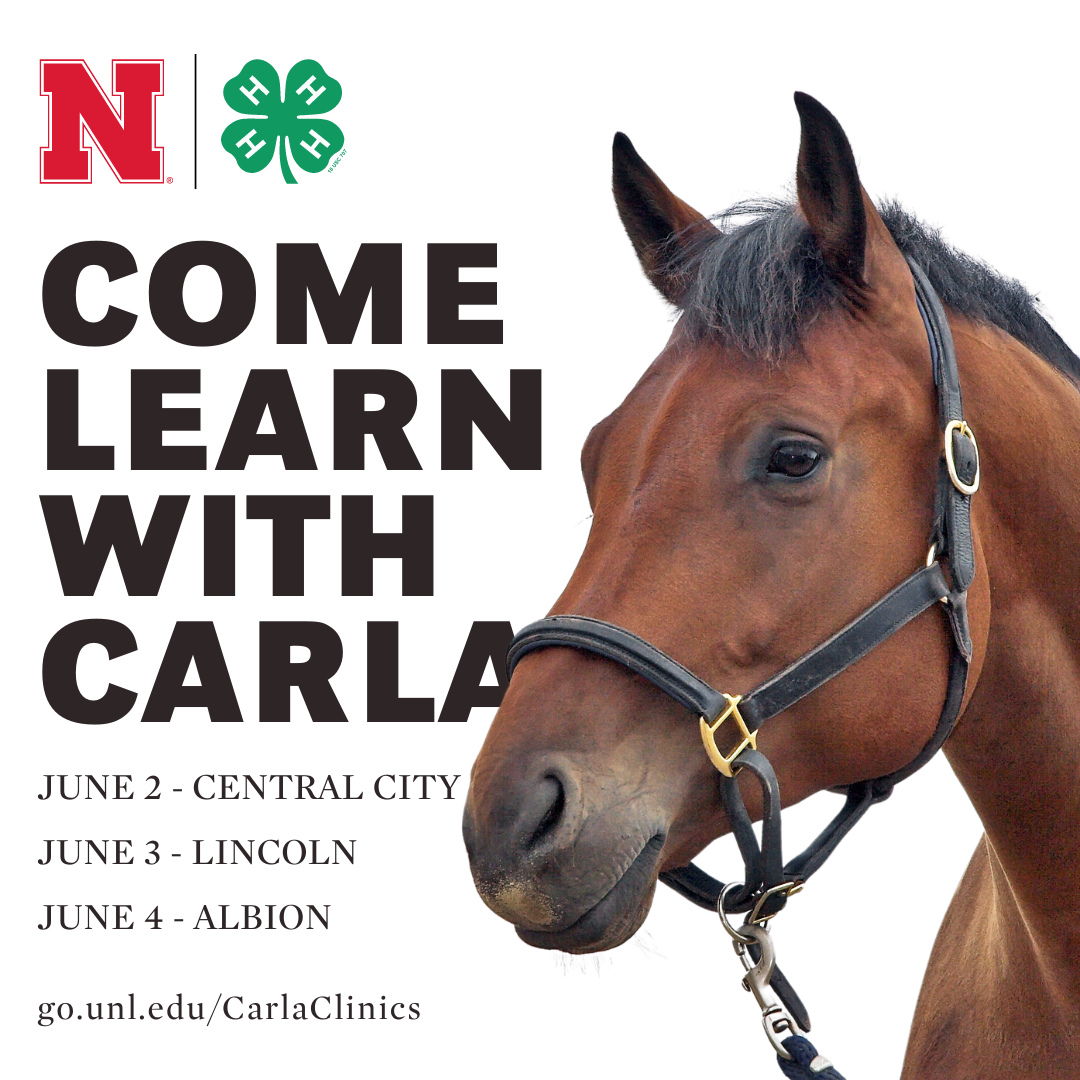 Come Learn w Carla Clinics.png