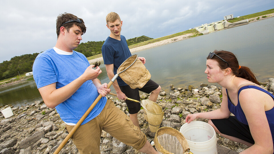 Huskers (from left) Alex Contino, Ryan Nathan and Gini Phillips compare results of their search for crawfish to be part of an experiment in this file photo. The project was part of a School of Biological Sciences course offered at Nebraska’s Cedar Point B