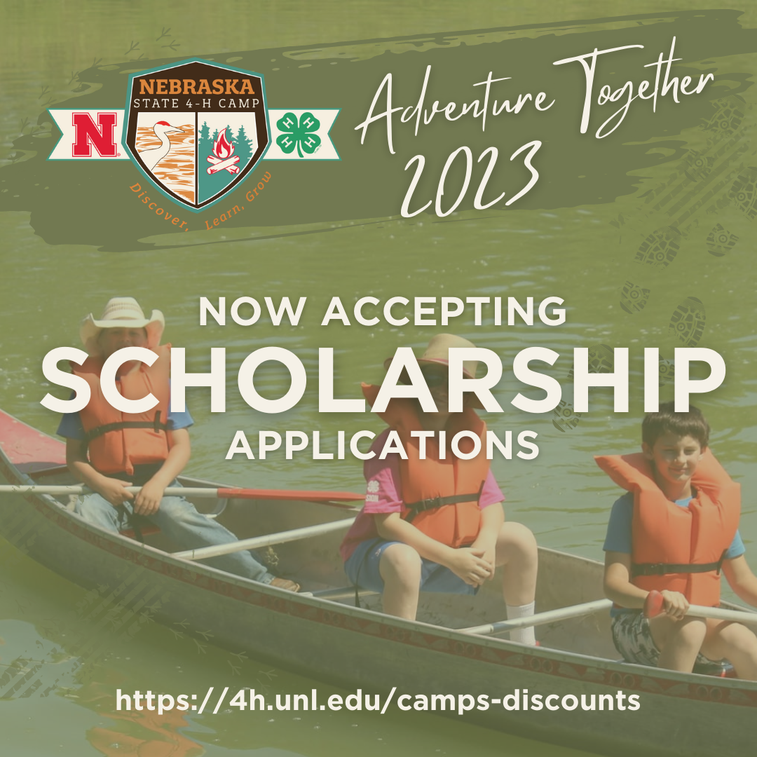4-H Summer Camp scholarship.png