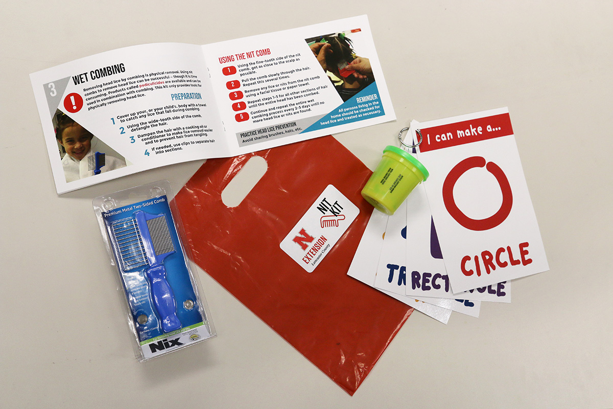 contents of a nit kit including a booklet, nit comb and playdough activity