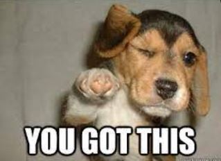 Picture of dog saying You Got This