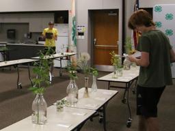 Plant Science Contests in 2022