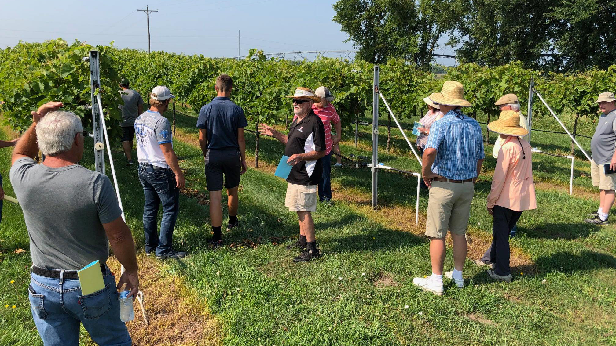 The University of Nebraska Viticulture Program and the Nebraska Winery and Grape Growers Association will host a field day June 26.