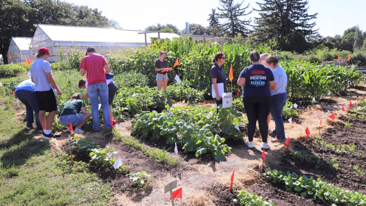 Students receive well-rounded classroom instruction that carries over well into experiential learning in the field. Lana Koepke Johnson | Agronomy and Horticulture