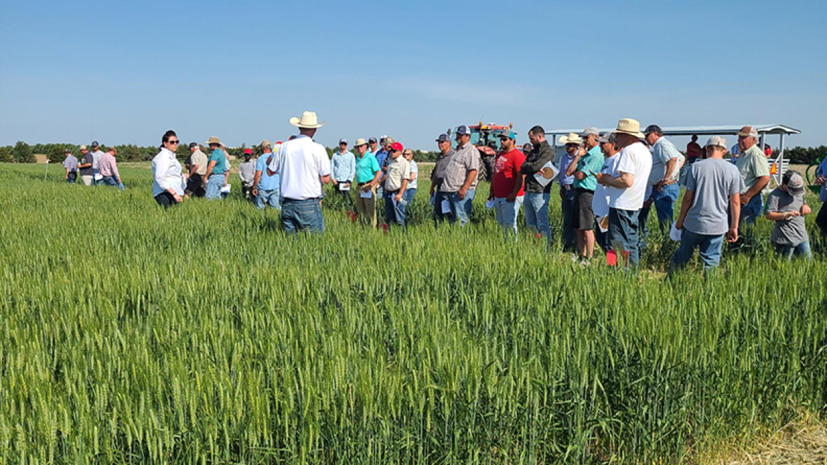 One of the wheat field tour stops in 2022 at the UNL High Plains Ag Lab. Chabella Guzman