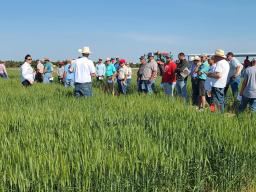 One of the wheat field tour stops in 2022 at the UNL High Plains Ag Lab. Chabella Guzman