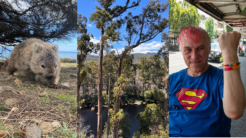 Wombat, Eucalyptus Tree, Robin (left to right)