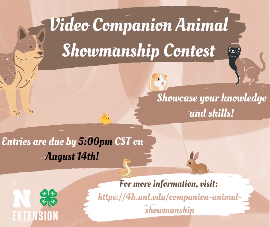 Companion Animal Video 23.jpg