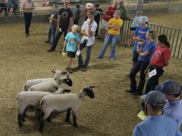 4-H/FFA Livestock Judging Contest at 2022 Lancaster County Super Fair