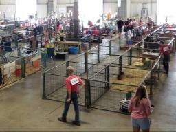 Livestock stalling in Pavilion 1 at the 2022 Lancaster County Super Fair