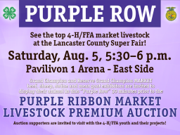 Livestock Auction Purple Row for enews.png