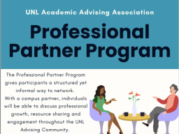 AAA Professional Partner Program