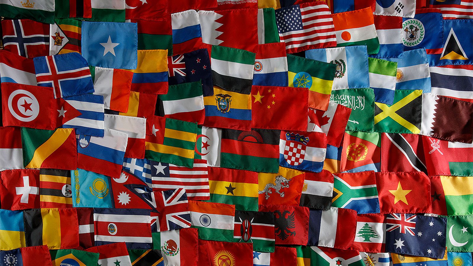 Supporting international students through academic advising and in the classroom.