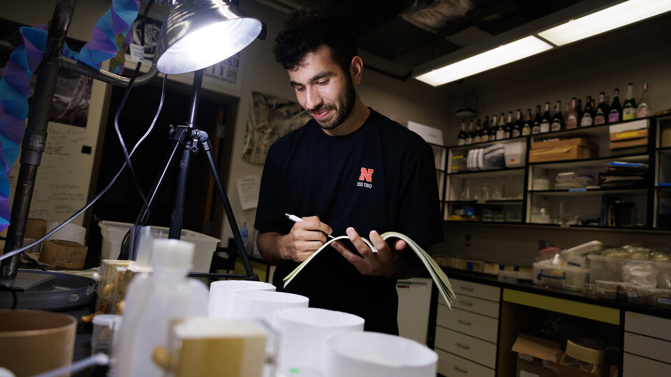 Abdallah Abdallah, a first-year student from Lincoln, documents a spider’s activity while working in Eileen Hebets' lab. Craig Chandler | University Communication and Marketing