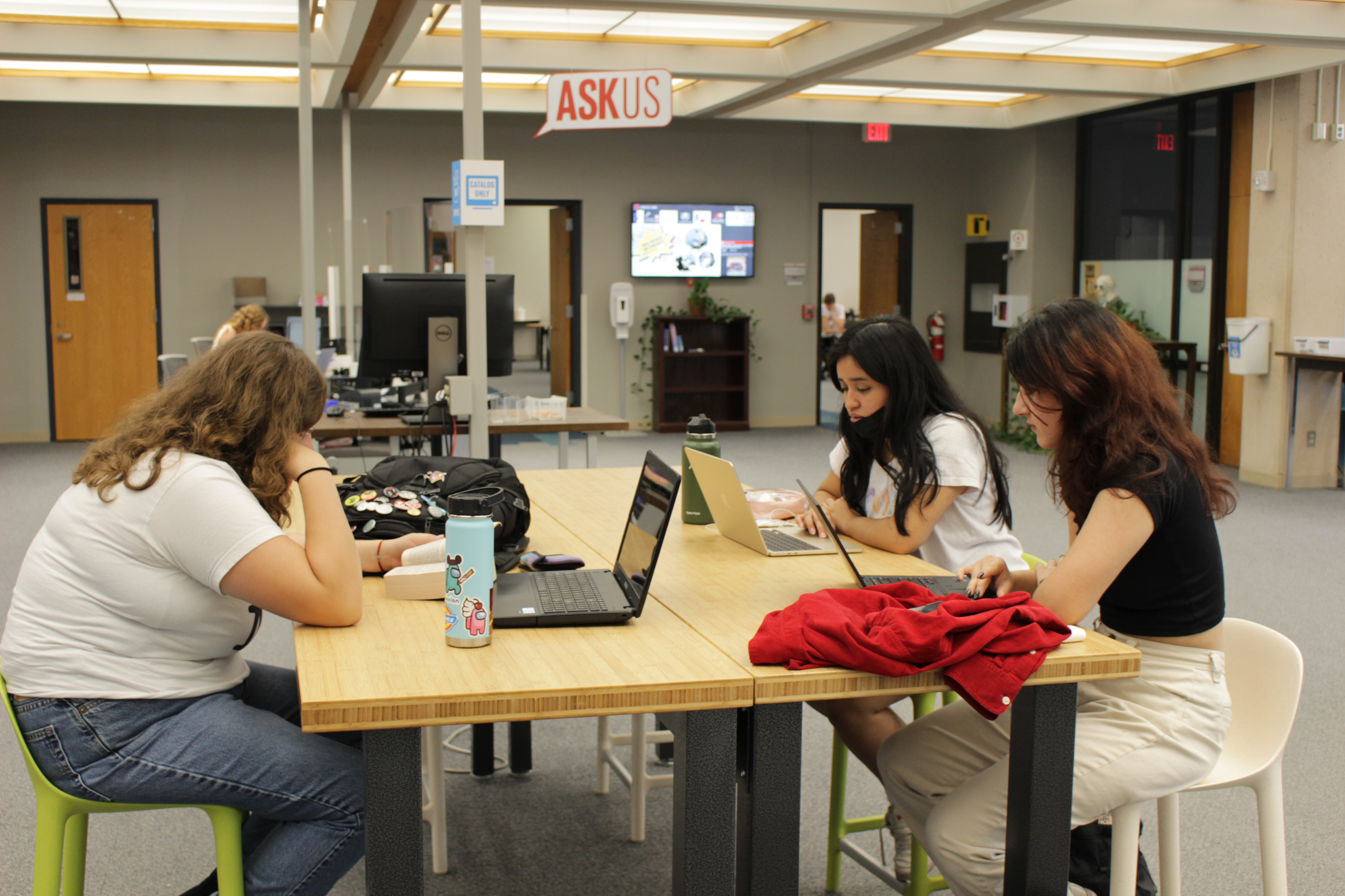 Students studying in Love Library