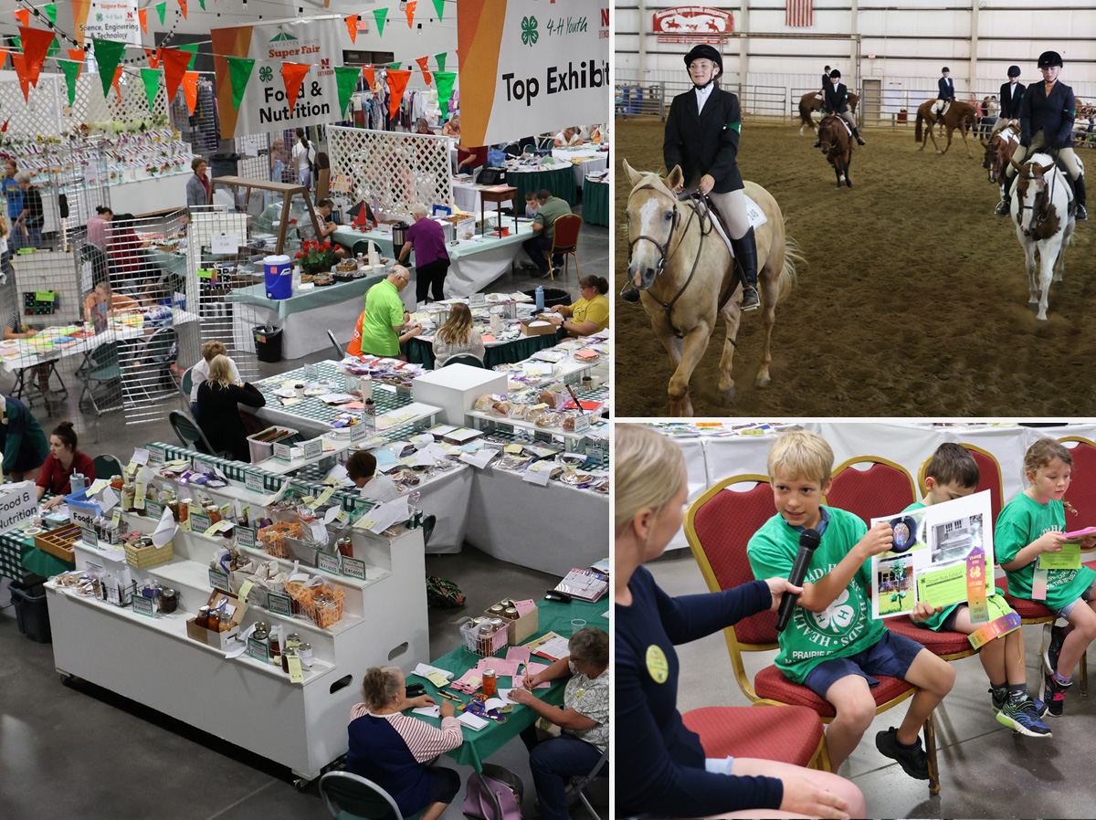 (Left photo) The day before the fair opens, static exhibits are judged and youth talk to judges about their projects. (Top right) The English Horse show in which English attire and tack are used. (Bottom right) Clover Kids Show & Tell.