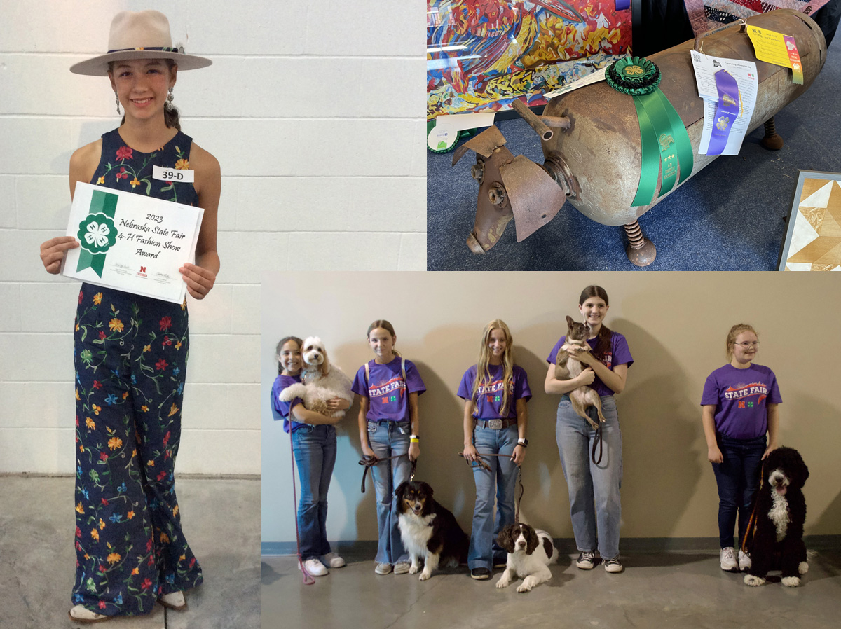 Two Lancaster County 4-H youth’s exhibits were selected for the Design Gallery: (left) Piper Pillard’s blue chambray jumpsuit and (top right) Meredith Marsh’s welded dog barbecue grill. (Bottom right) 4 On the Floor 4-H dog club members at State Fair.
