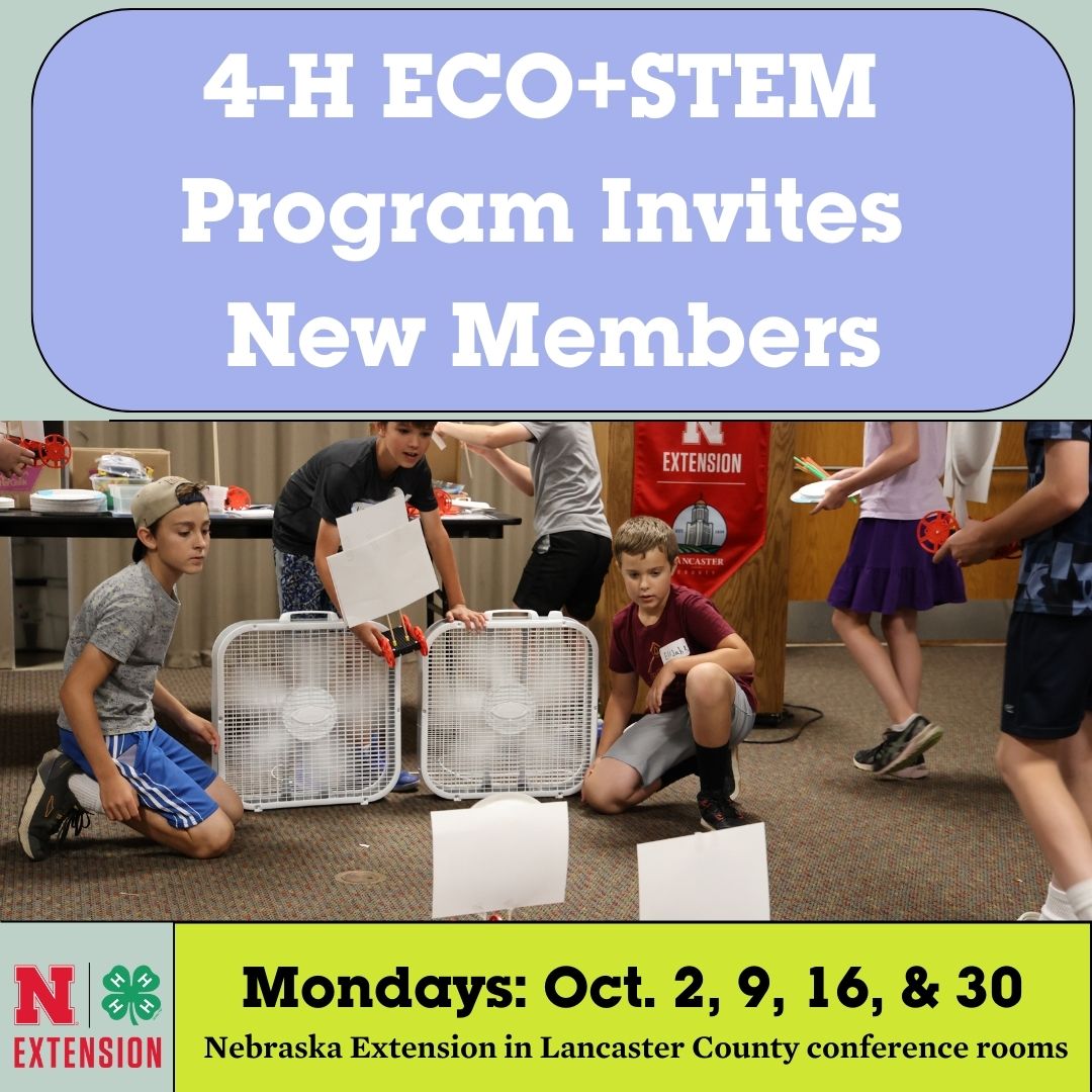 4-H ECO+STEM Program Graphic (1).jpg