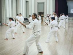 Shotokan Ohshima Karate-do & Self-Defense