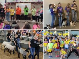 4-H specialty clubs include (clockwise from top left): Teen Council, 4 On The Floor Dog Club, Clover Kids Club and Unified Showing Club