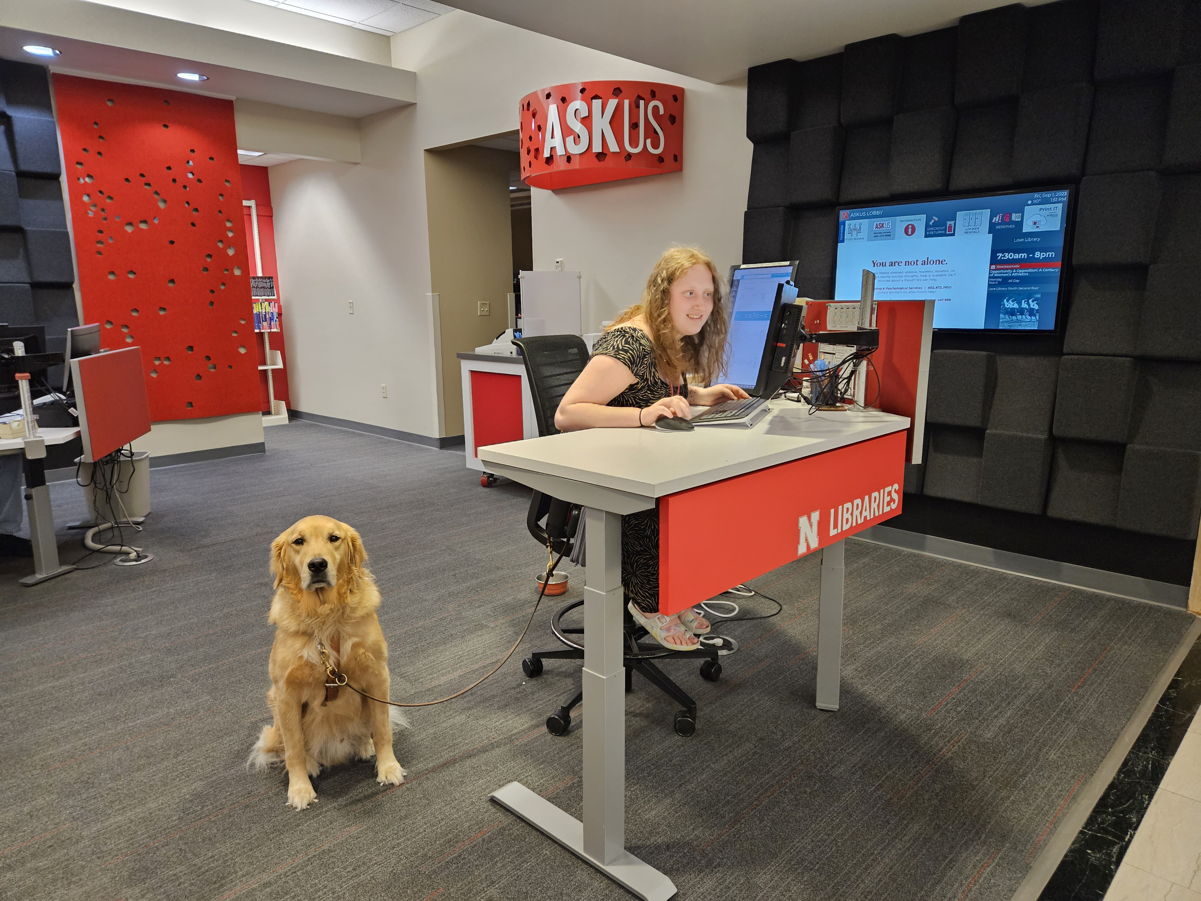 Julia Rucker and her service dog, Carson, work the ASKus Desk in Love Library South.