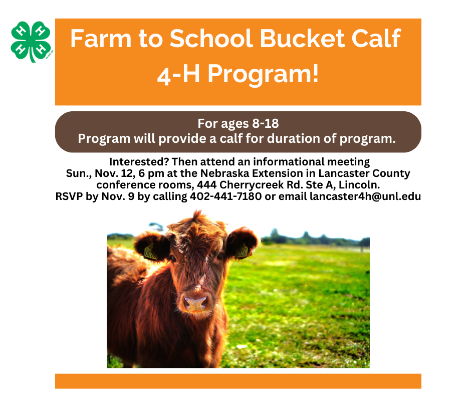 Farm to School Bucket Calf 4-H Program facebook4.png