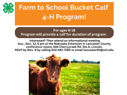 Farm to School Bucket Calf 4-H Program facebook4.png