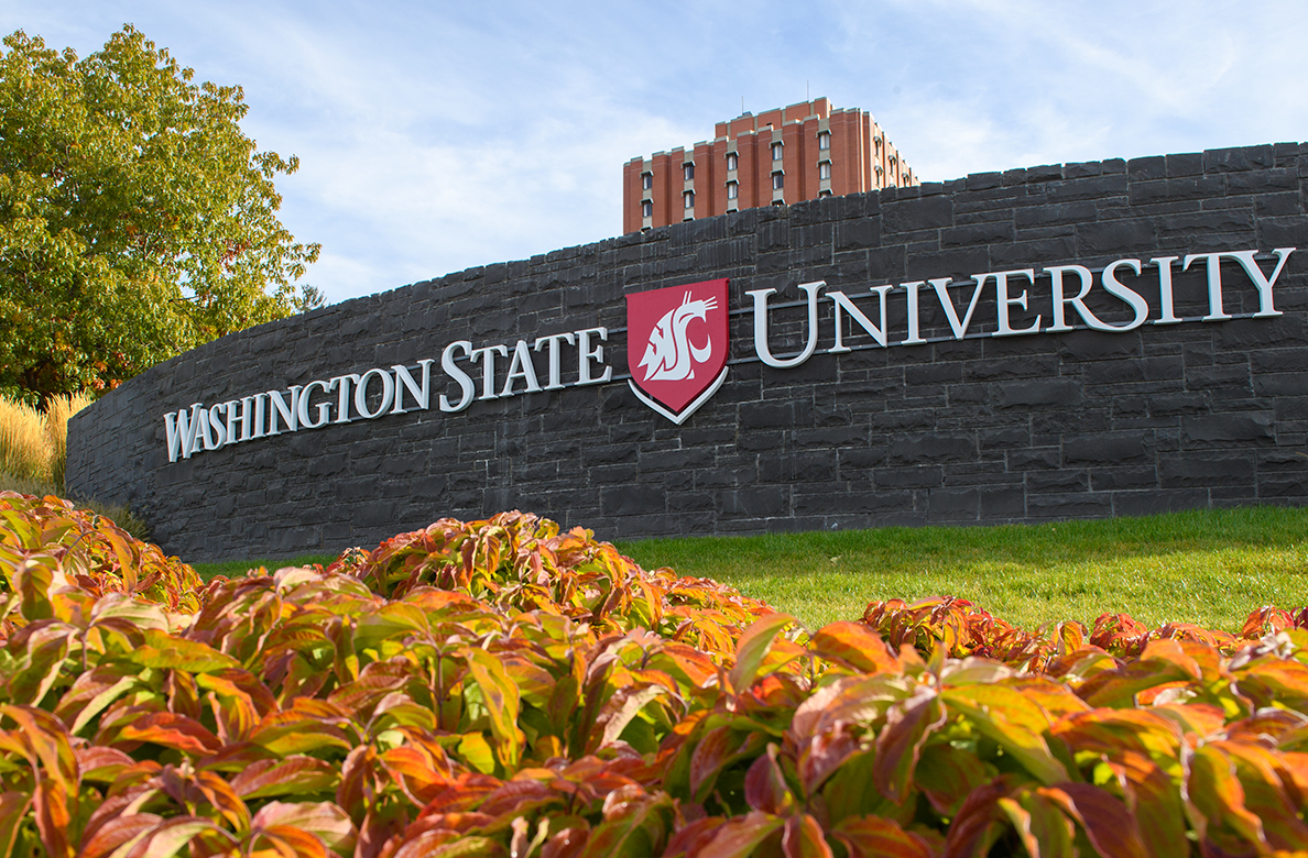  Tenure-track faculty position at Washington State University 