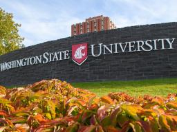  Tenure-track faculty position at Washington State University 