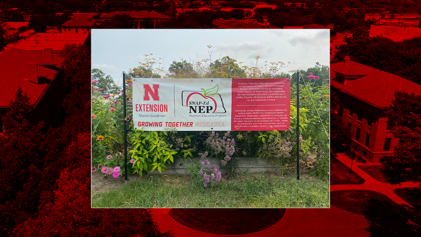 The Growing Together Multi-State Collaborative, a regional food and nutrition program whose partners include Nebraska Extension, has received a national award from the U.S. Department of Agriculture. 