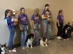 4 On the Floor members at the 2023 State 4-H Dog Show