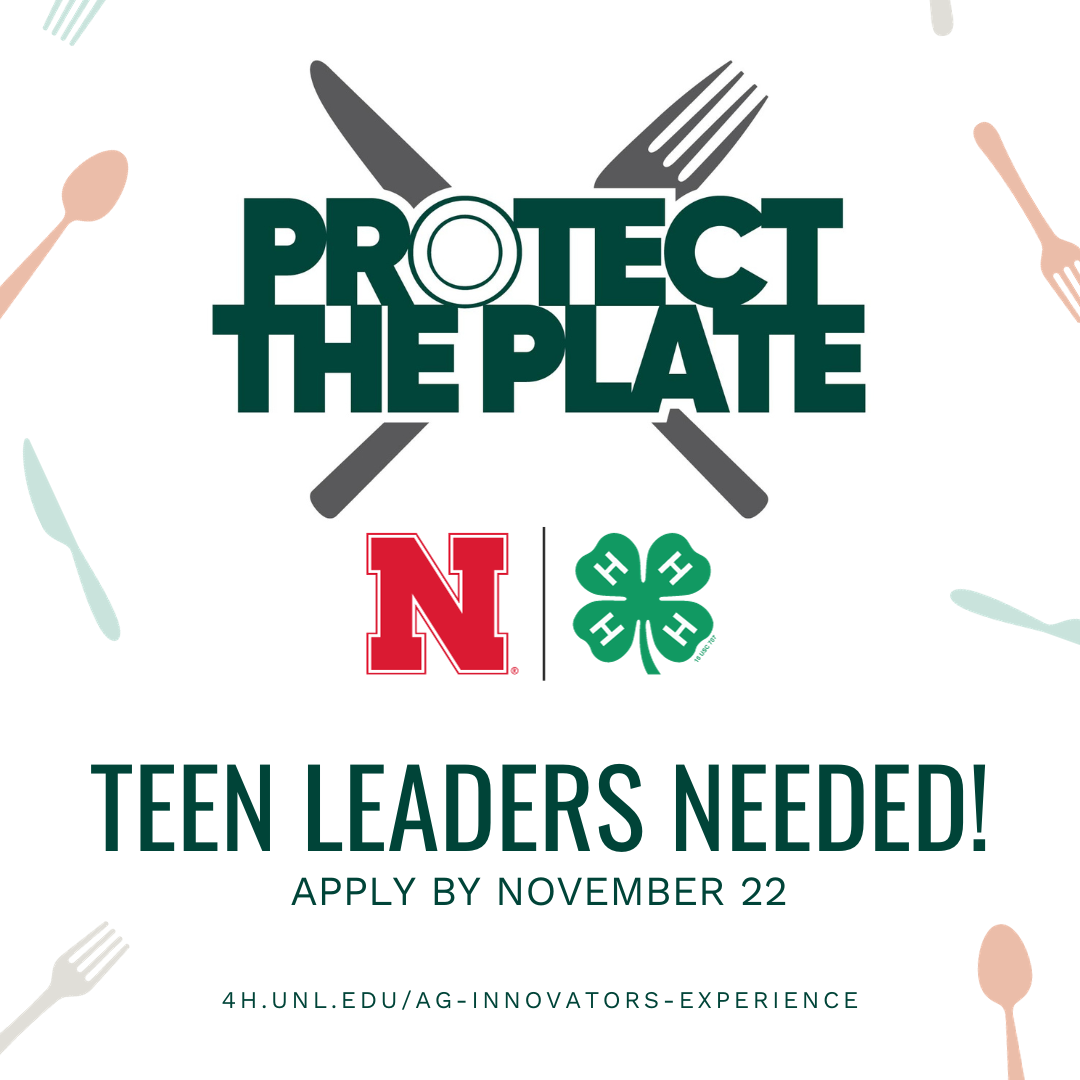 AIE-Protect-the-Plate-Teen-Leaders-Needed.png