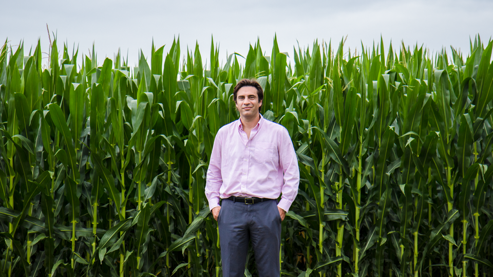 Patricio Grassini, professor of agronomy and horticulture at Nebraska, is co-leading a two-year project to compile and analyze a comprehensive inventory of global data on potassium for major crop systems around the world. 