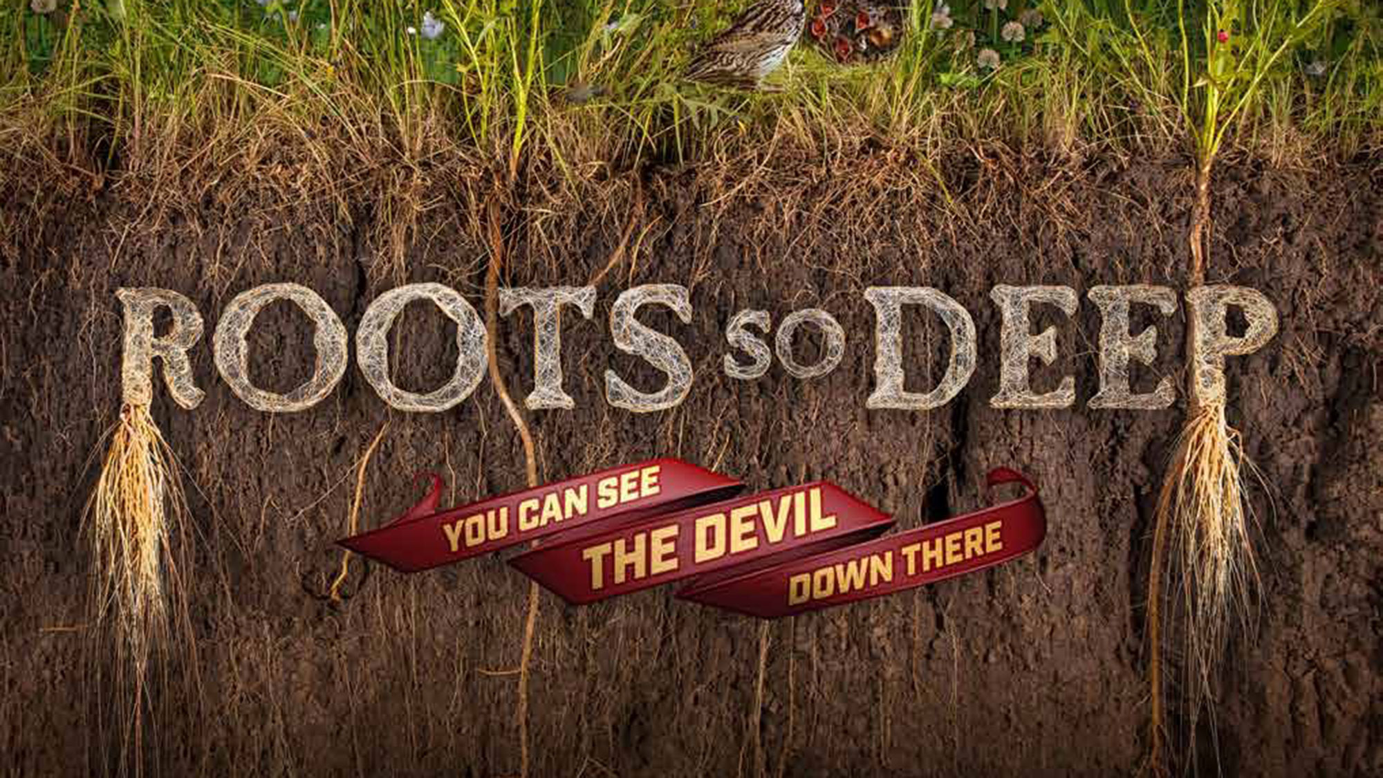 The UNL Soils Judging Team is sponsoring a “Roots So Deep” screening at 6 p.m. in Hardin Hall on East Campus.
