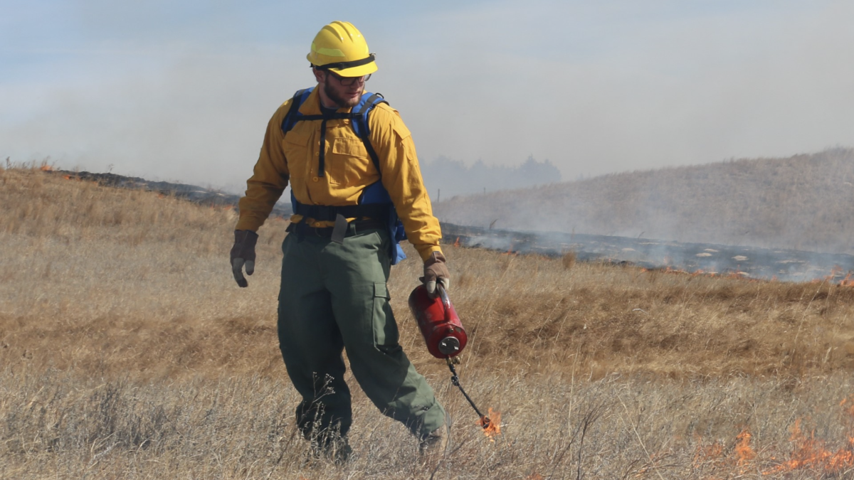 Nolan Sipe takes part in prescribed burns at Barta Brothers Ranch near Rose, Nebraska, to test the use of fire in managing grazing lands and making them more resilient. Photo credit: Hannah Greenwell, Nebraska Extension