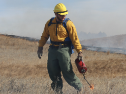 Nolan Sipe takes part in prescribed burns at Barta Brothers Ranch near Rose, Nebraska, to test the use of fire in managing grazing lands and making them more resilient. Photo credit: Hannah Greenwell, Nebraska Extension