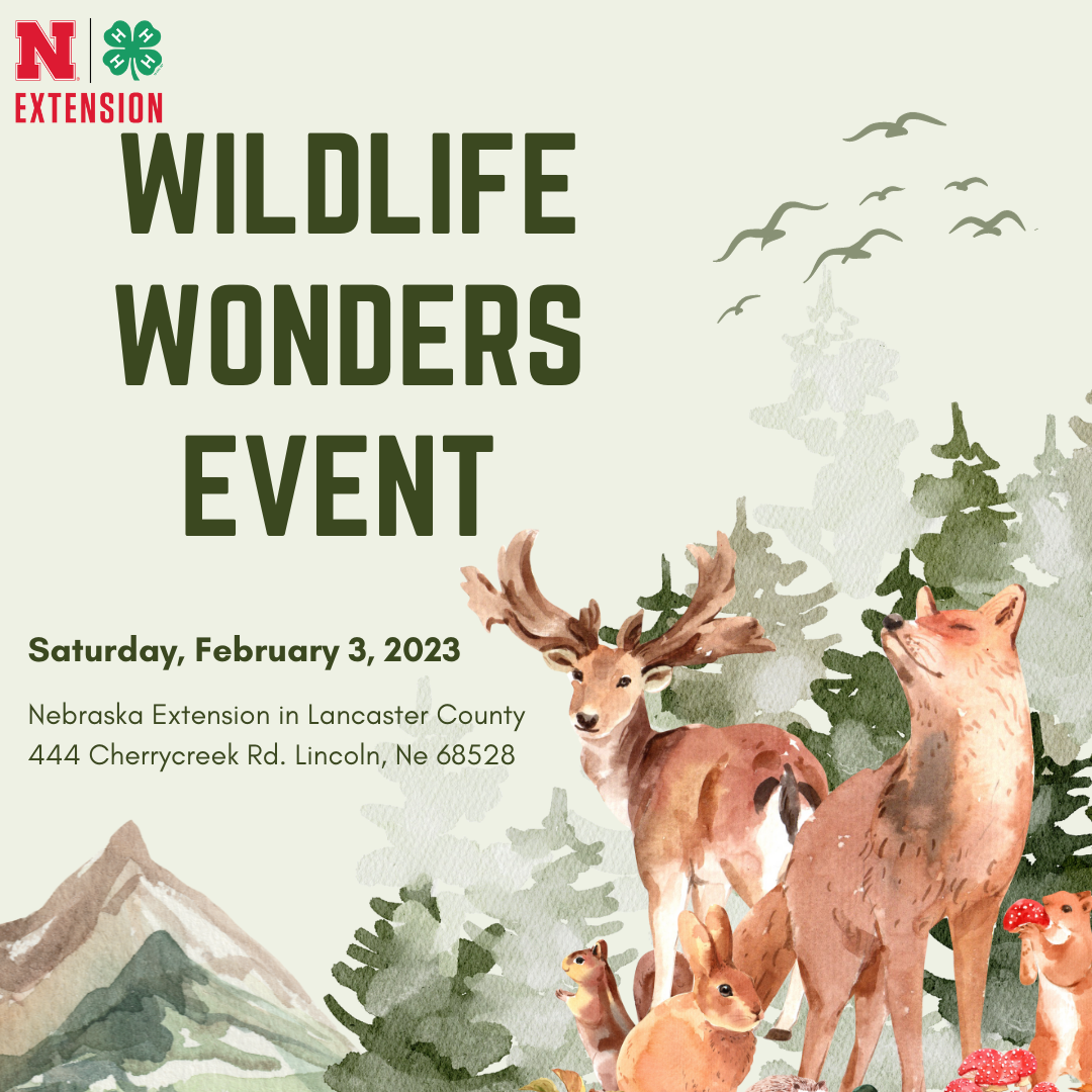Wildlife Wonders, February 3