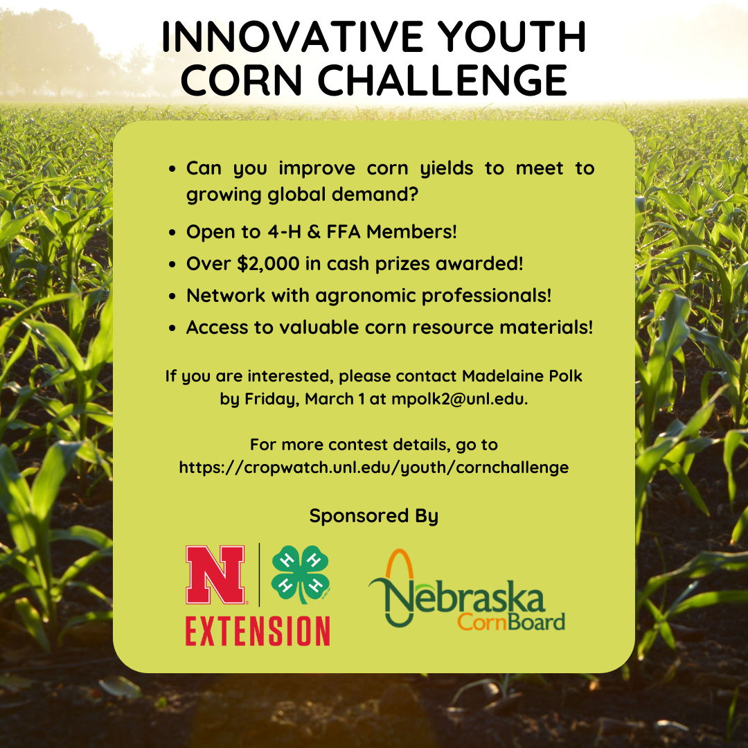 Corn Yield Challenge for 4-H and FFA Members 