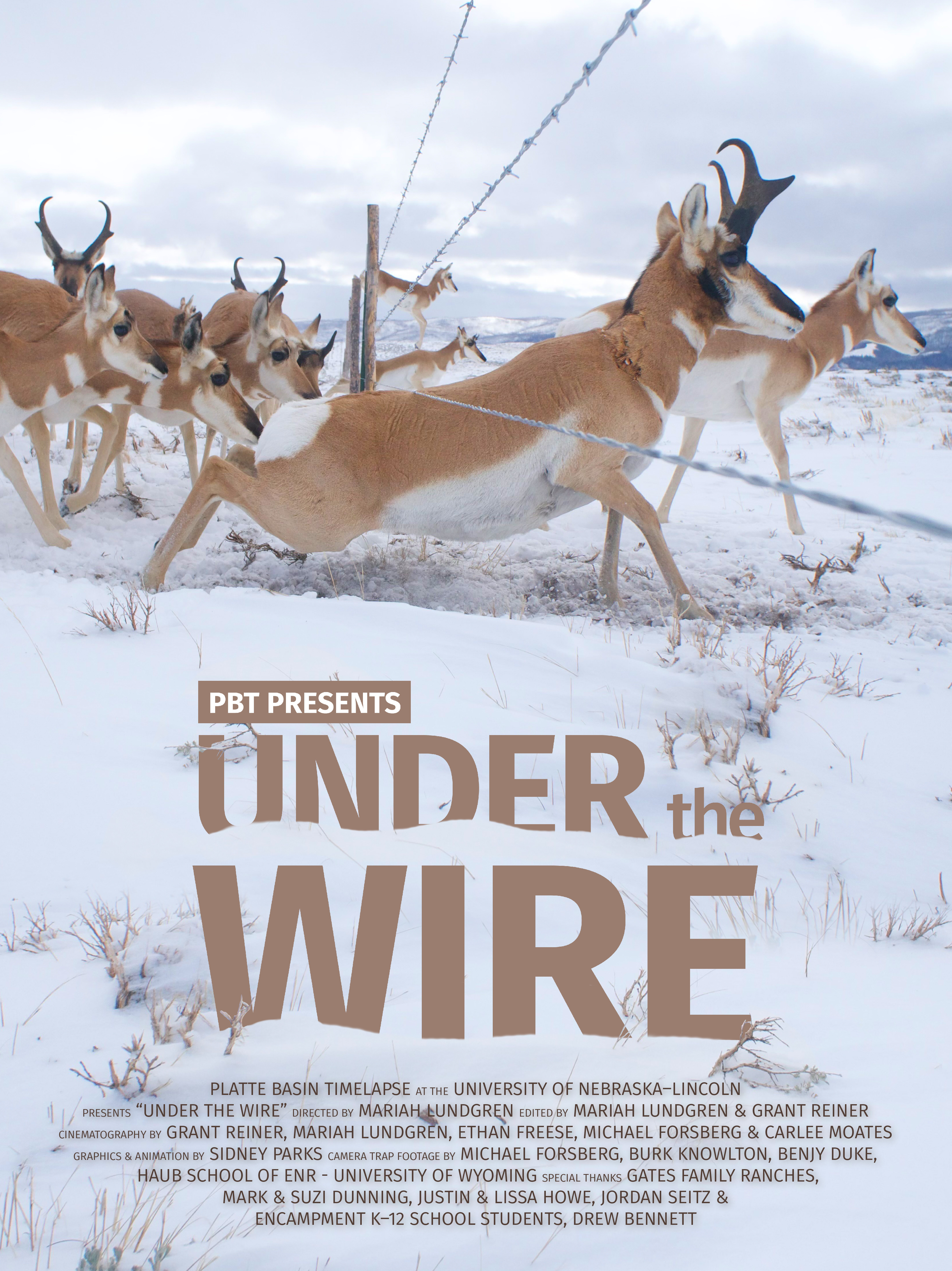 "Under the Wire" Release
