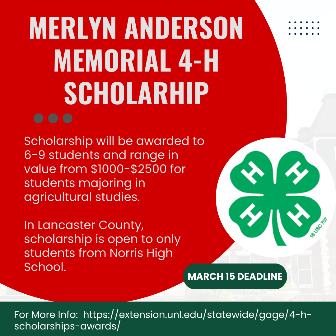 Merlyn Anderson Memorial 4-H Scholarship