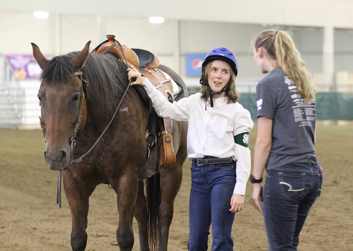 A Lancaster County 4-H horsemanship testing from 2023