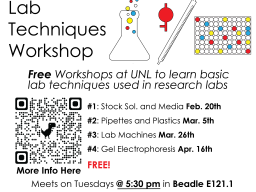 Flyer for workshop containing dates and descriptions of workshops. March 5th at 5:30 in Beadle E121.1 is the next workshop.