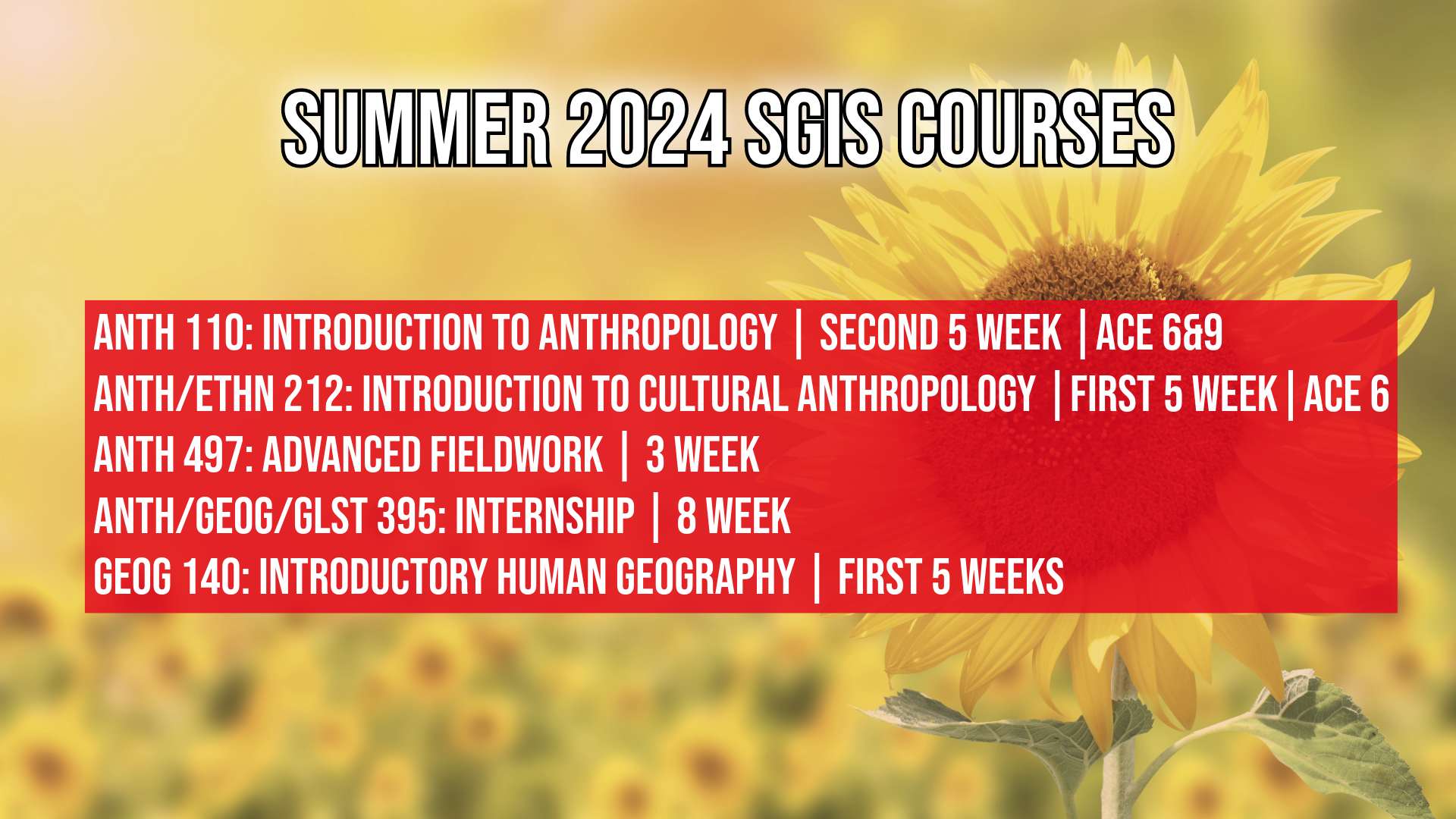SGIS Summer 2024 Courses