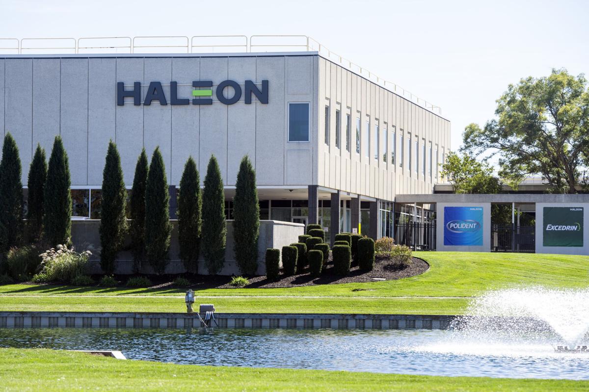 Job Opportunity in Lincoln with Haleon