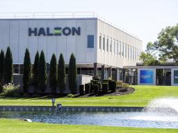 Job Opportunity in Lincoln with Haleon