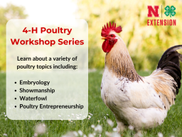 4-H Poultry Workshop Series - 2024
